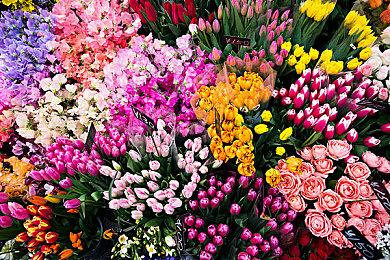 撸狗模拟器游戏《狗仔队》上线steam 明年1月发售